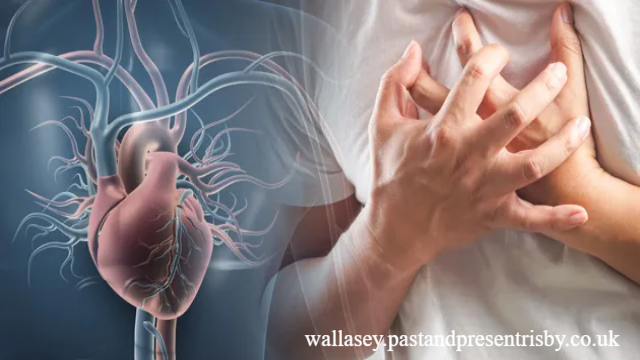 Inilah Penyakit yang Mengganggu Fungsi Jantung, Dan Cara Penyembuhnya